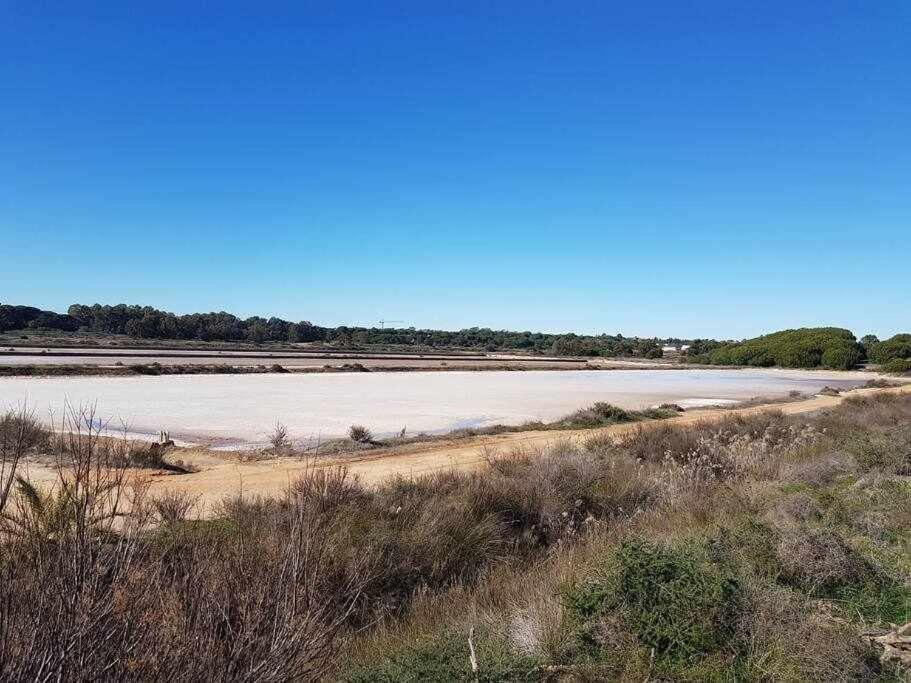 Ria Formosa Pineview Villa FAO Exterior photo
